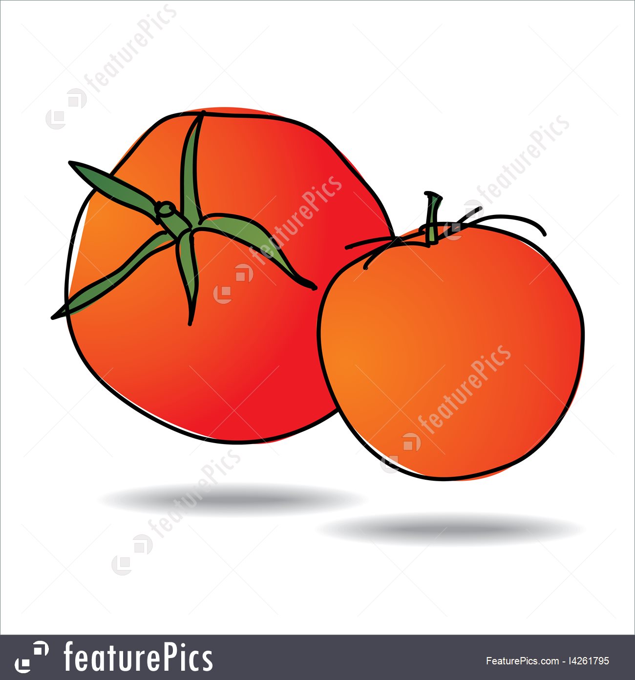 1300x1392 Food Freehand Drawing Tomato Icon