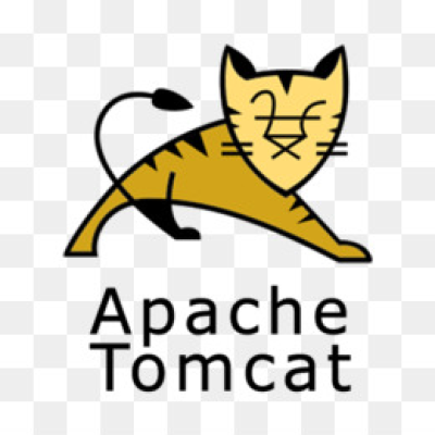 400x400 Tomcat Png