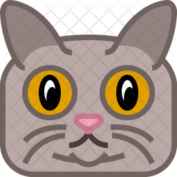 256x256 Yumminky, Animals, Square, Head, Avatar, Cat, Tomcat, Tom, Pet