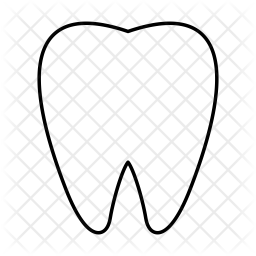 256x256 Tooth Icon Of Line Style