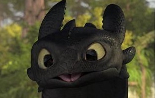 311x196 Toothless Icon