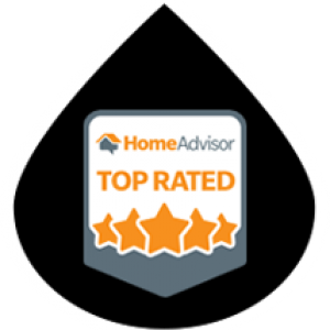 300x300 Top Rated Icon