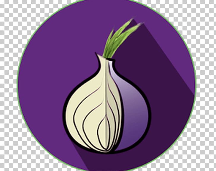 free tor browser download software
