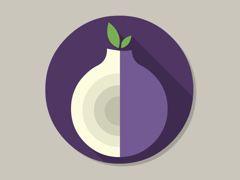 800x600 Tor Flat Icon
