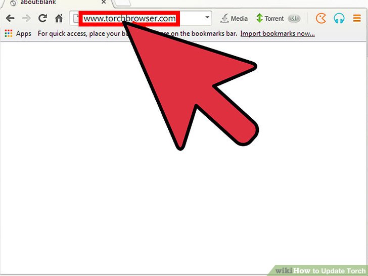 Torch Browser Icon At Vectorified Collection Of Torch Browser torch-browser-icon-at-vectorified-collection-of-torch-browser