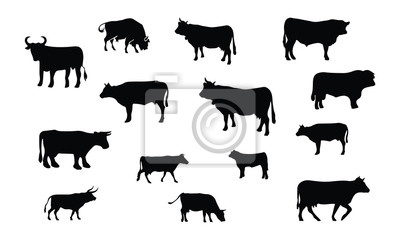 400x240 Toro Y Vaca Silueta, Set Vector Animales Iconos Pinturas Para La