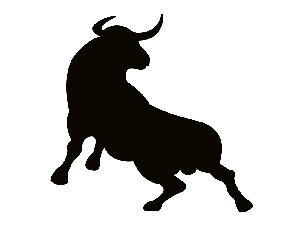 1024x792 Icono Toro Bravo Karina Barrios