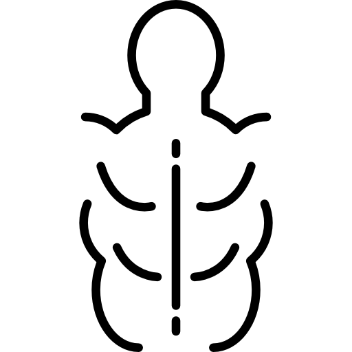 512x512 Man Torso Muscles Icons Free Download