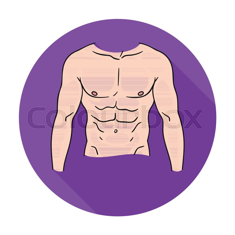 800x800 Muscular Torso Icon In Flat Style Stock Vector Colourbox