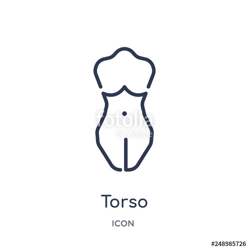 500x500 Torso Icon From People Outline Collection Thin Line Torso Icon