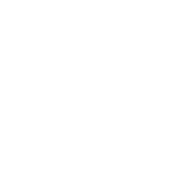 256x256 Free White Torso Icon