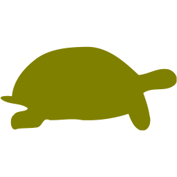 256x256 Olive Tortoise Icon