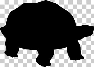 310x222 Page Tortoise Icon Png Cliparts For Free Download Uihere