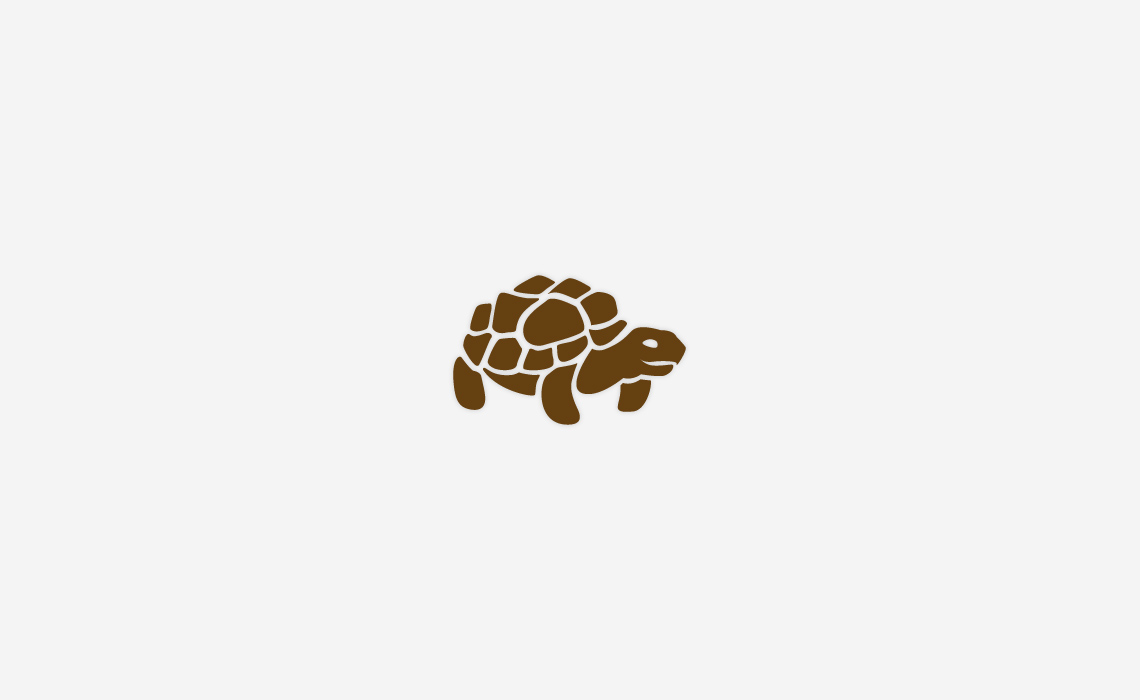 1140x700 Tortoise Icon Design