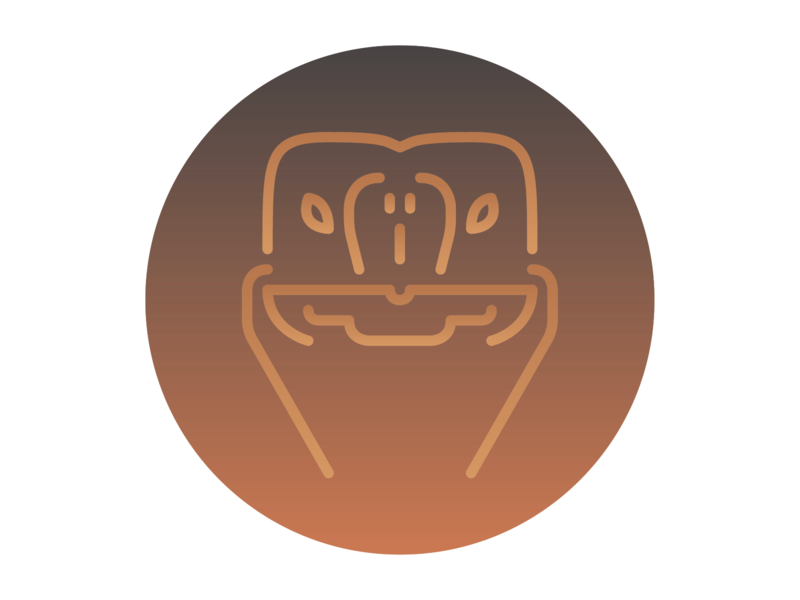 800x600 Tortoise Icon
