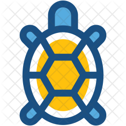 256x256 Tortoise Icon Of Colored Outline Style