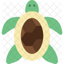 256x256 Tortoise Icon Of Flat Style