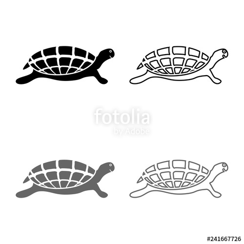 500x500 Turtle Tortoise Icon Set Grey Black Color Illustration Outline