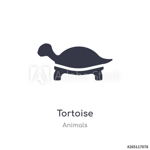 500x500 Tortoise Icon Isolated Tortoise Icon Vector Illustration
