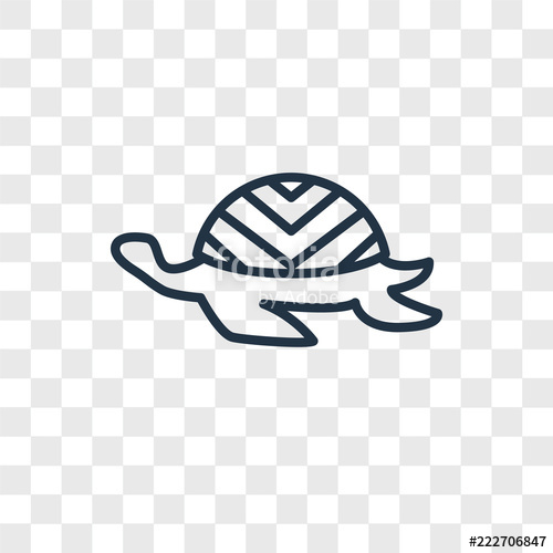 500x500 Tortoise Icons Isolated On Transparent Background Modern
