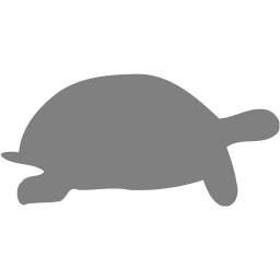 256x256 Gray Tortoise Icon