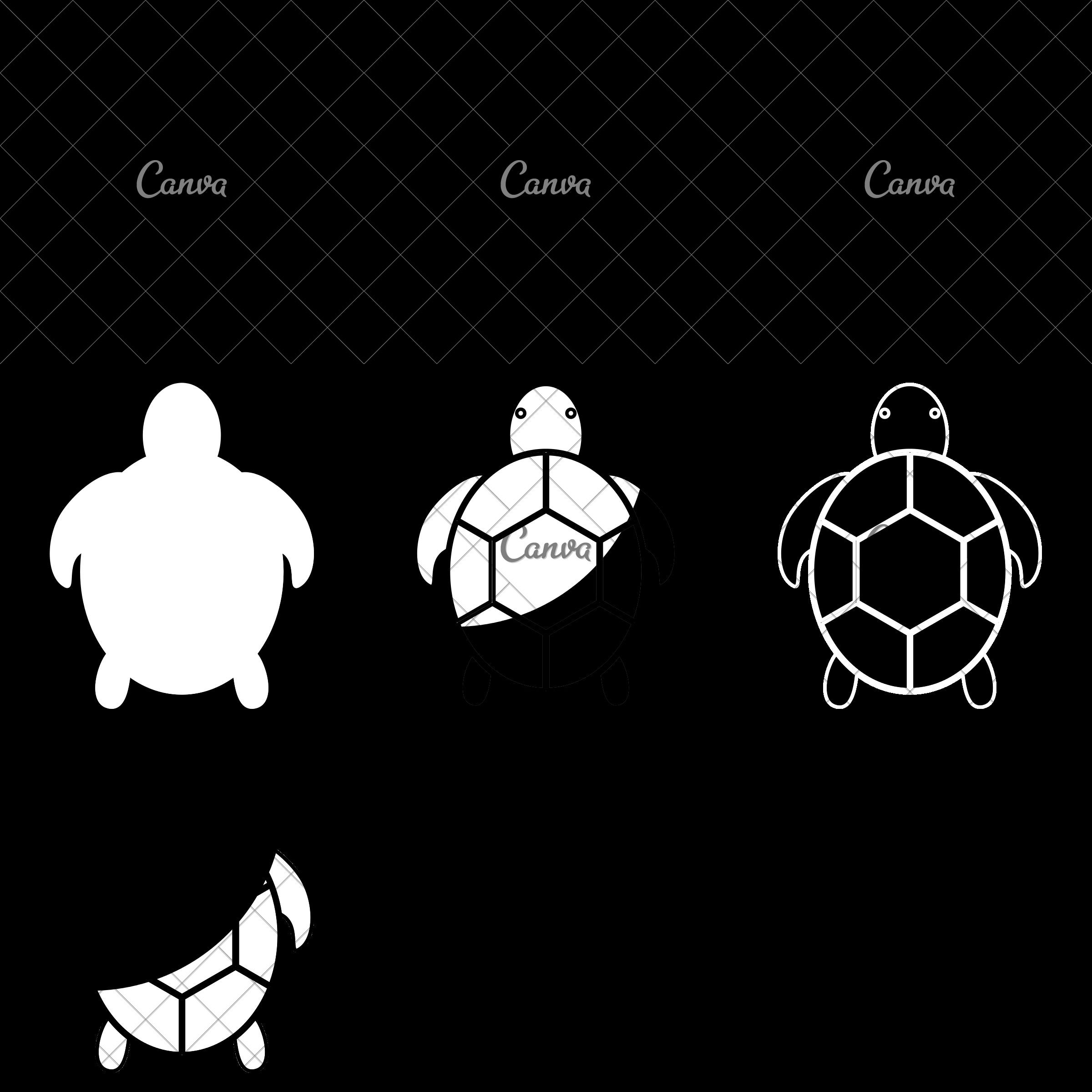 2400x2400 Isolated Tortoise Icon