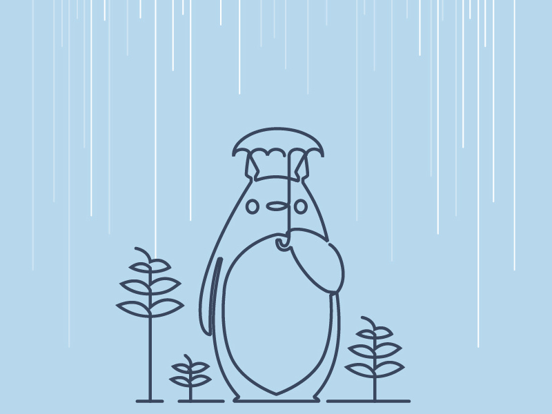 800x600 Totoro Icon
