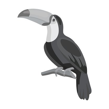416x416 Toucan Icon In Monochrome Style Isolated On White Bird Premium