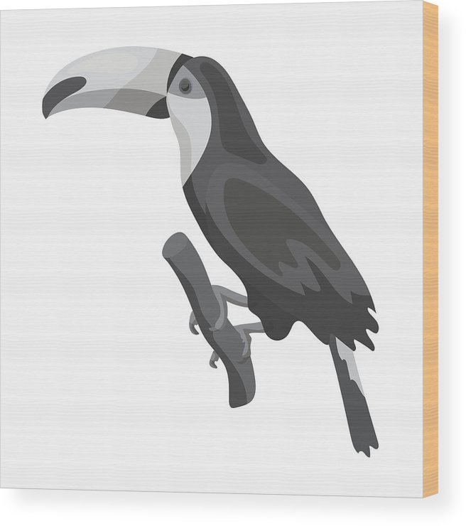 656x740 Brazilian Toucan Icon In Monochrome Style Isolated On White
