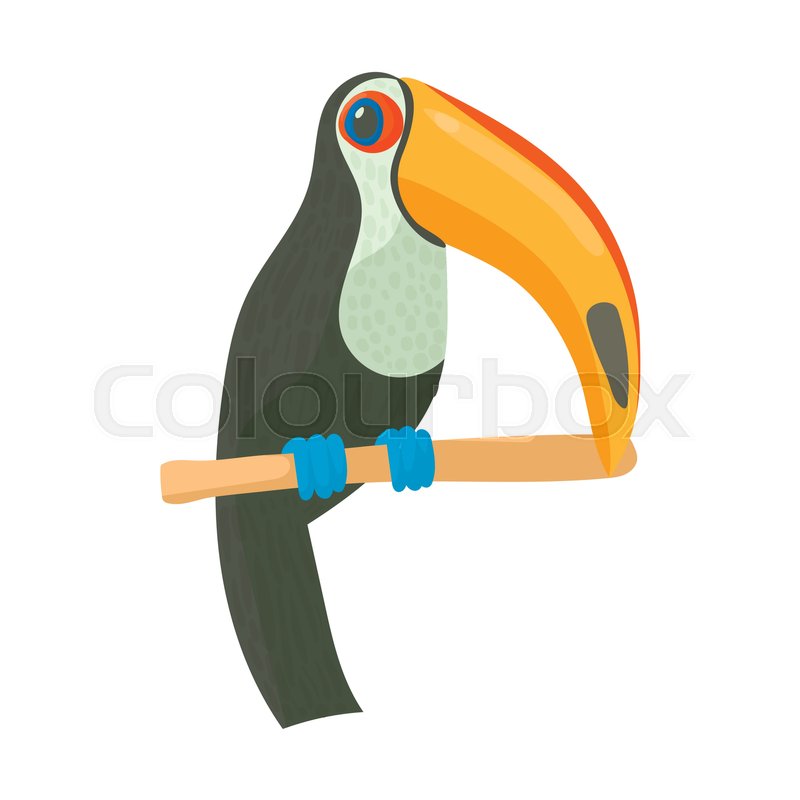 800x800 Toucan Icon In Cartoon Style Isolated Stock Vector Colourbox
