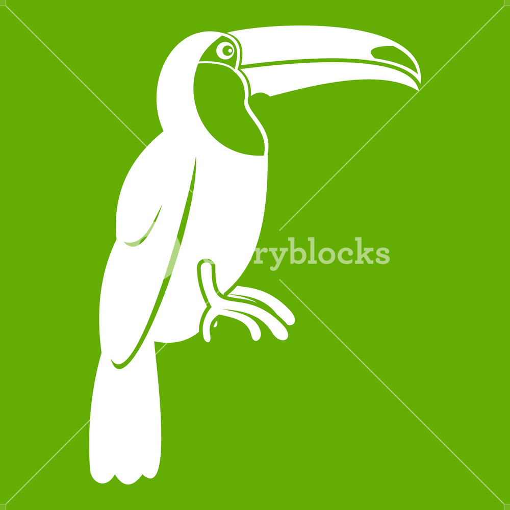 1000x1000 Brazilian Toucan Icon White Isolated On Green Background