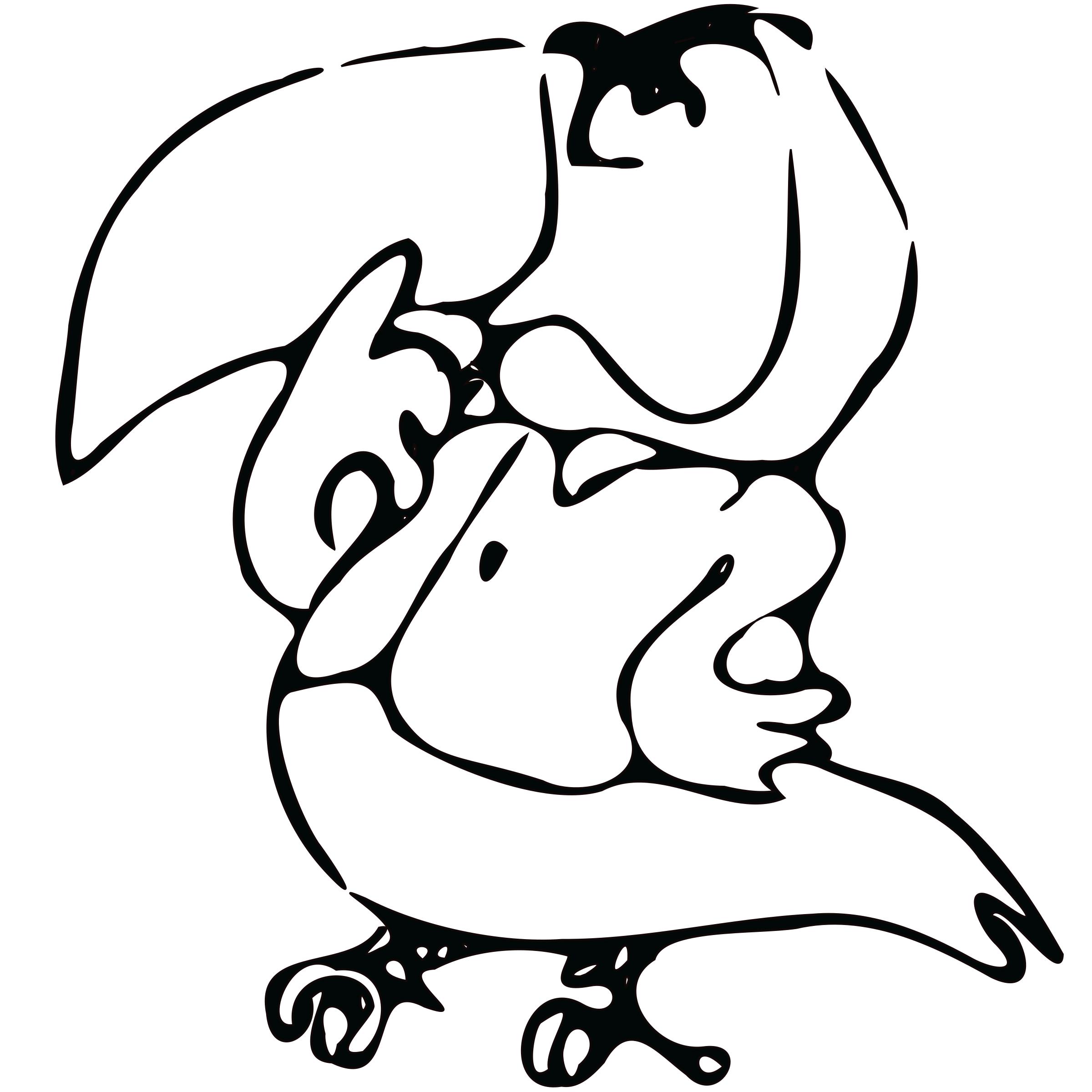 2400x2400 Drawn Toucan Icons Png