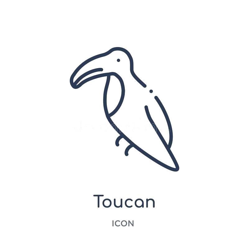 800x800 Toucan Outline