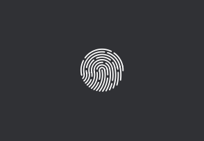 294x203 Apple Touch Id Icon