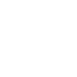 256x256 White Toxic Icon