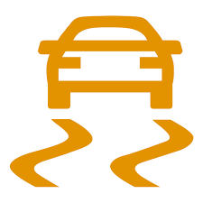 Traction Control Icon