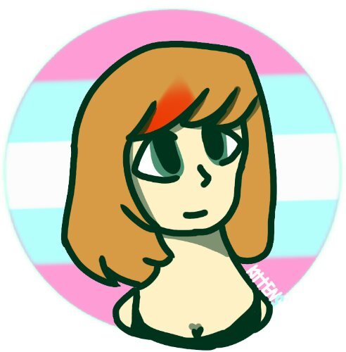 492x500 Rachel Gonoranski Trans Icon Be More Chill! Amino