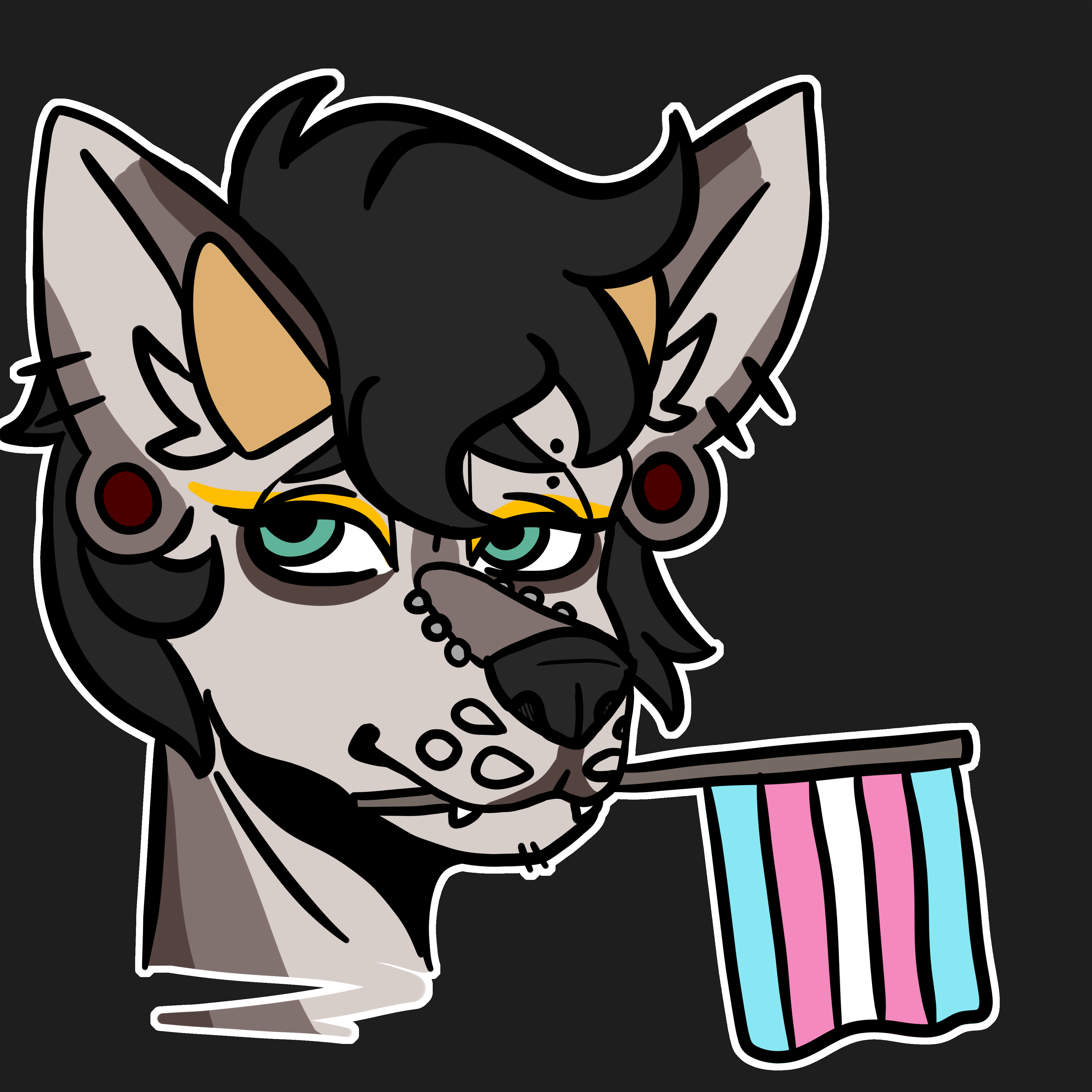 4000x4000 Trans Icon