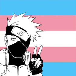 250x249 Trans Icons Tumblr
