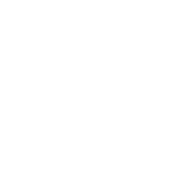 256x256 White Iphone Icon