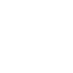 256x256 White Star Icon