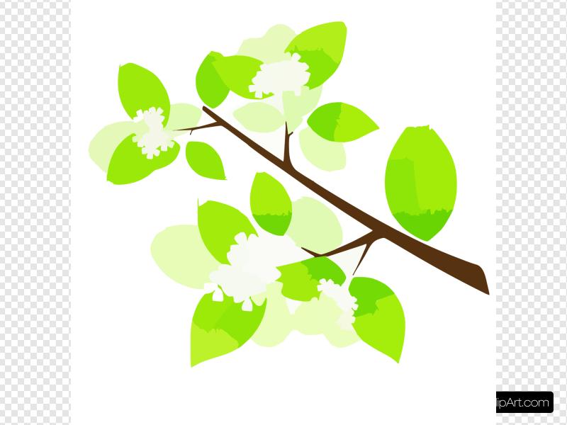 800x600 Green Tree Branch Icon Clip Art, Icon