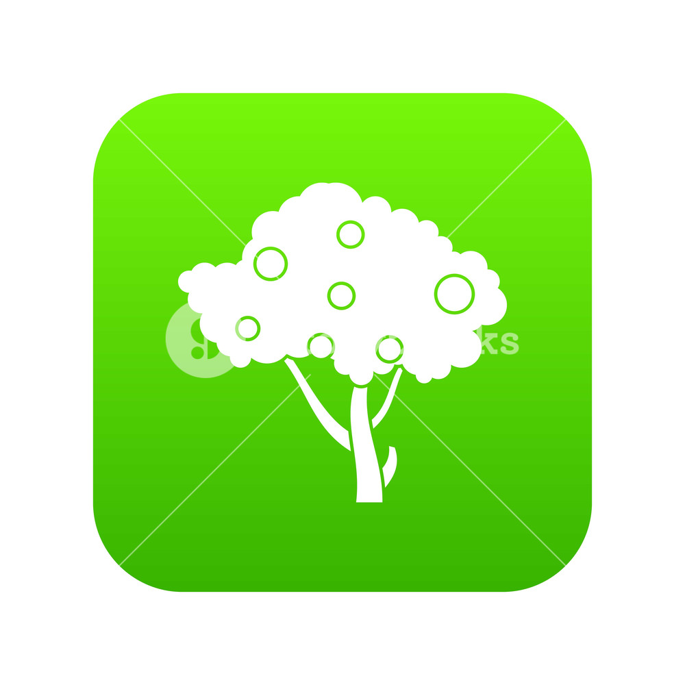 1000x1000 Apples On Apple Tree Branches Icon Digital Green For Any Design