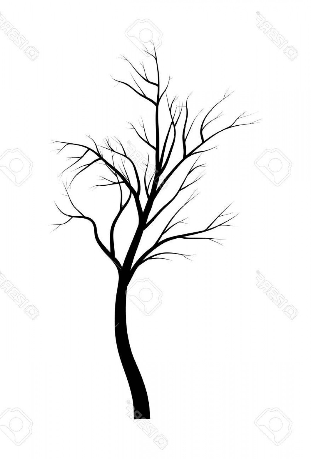 1058x1560 Photostock Vector Bare Tree Branch Silhouette Vector Symbol Icon