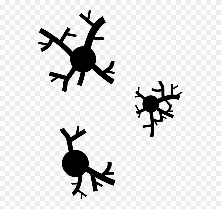 880x830 Tree Branch Computer Icons Symbol Silhouette