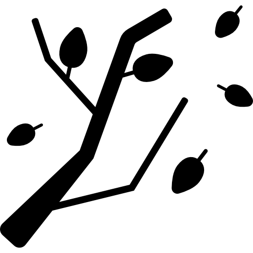 512x512 Autumn Leaves Icons Free Download