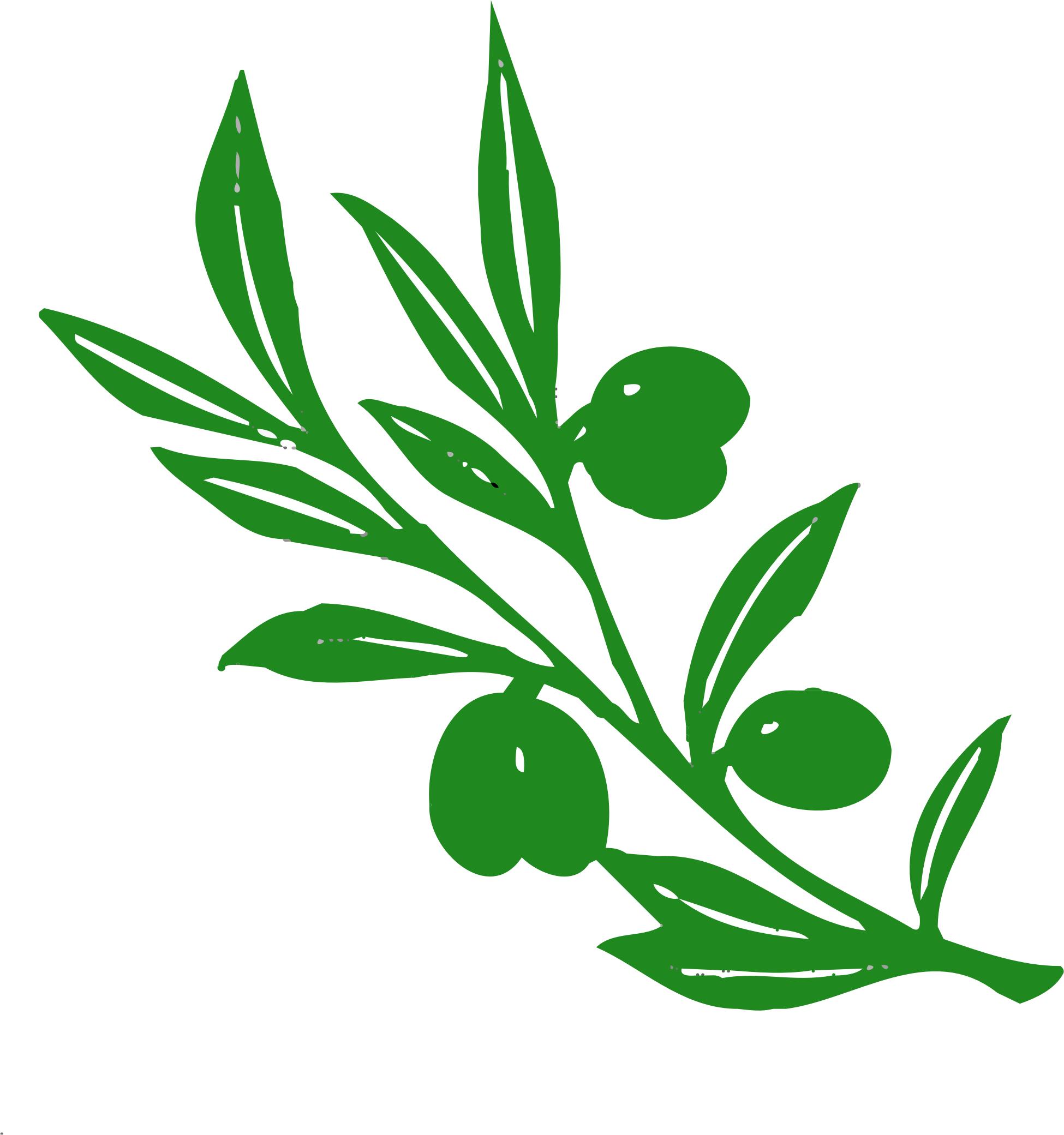 1950x2081 Olive Tree Branch Icons Png