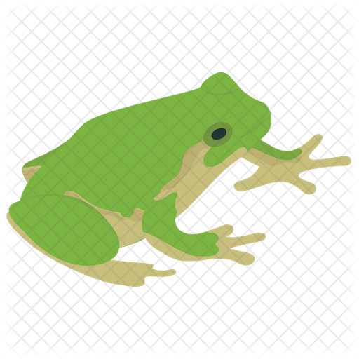 512x512 Frog Icon Of Flat Style
