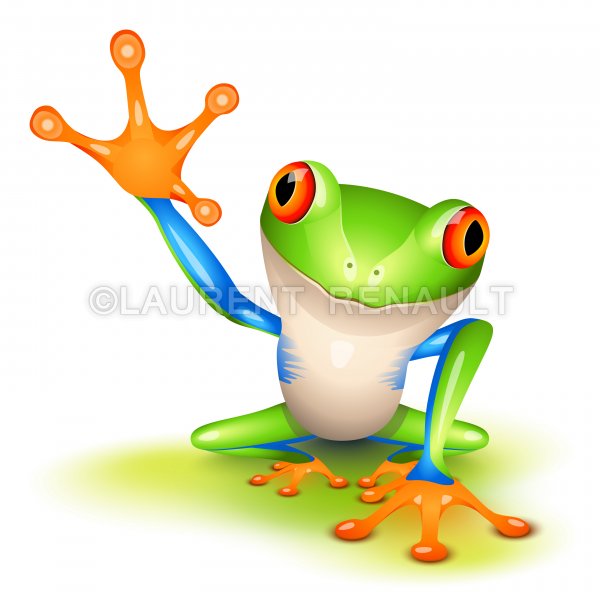 600x600 Little Tree Frog Vector Stock Images