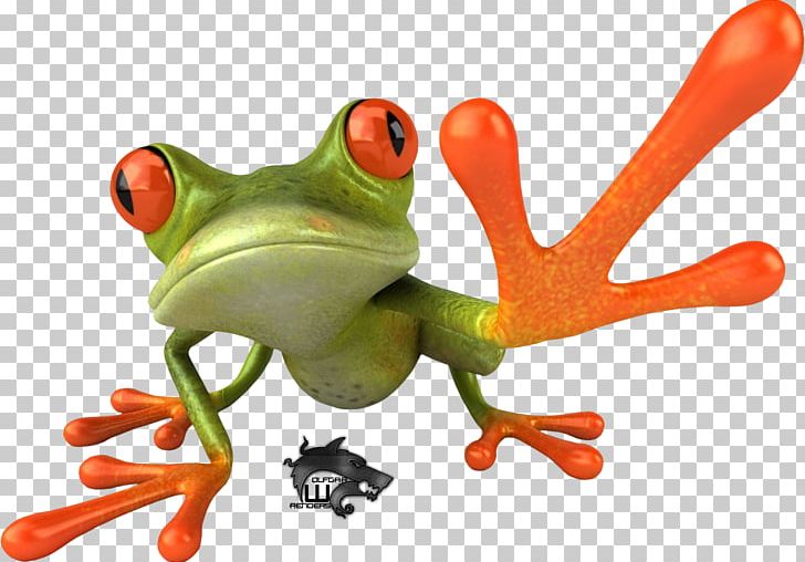 728x508 Tree Frog Icon Png, Clipart, Animallover, Animals, Australian